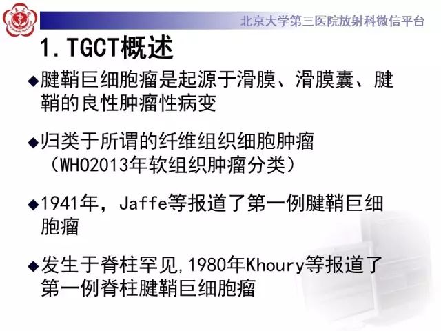 影像PPT - 【PPT】脊柱腱鞘巨细胞瘤TGCT影像-11