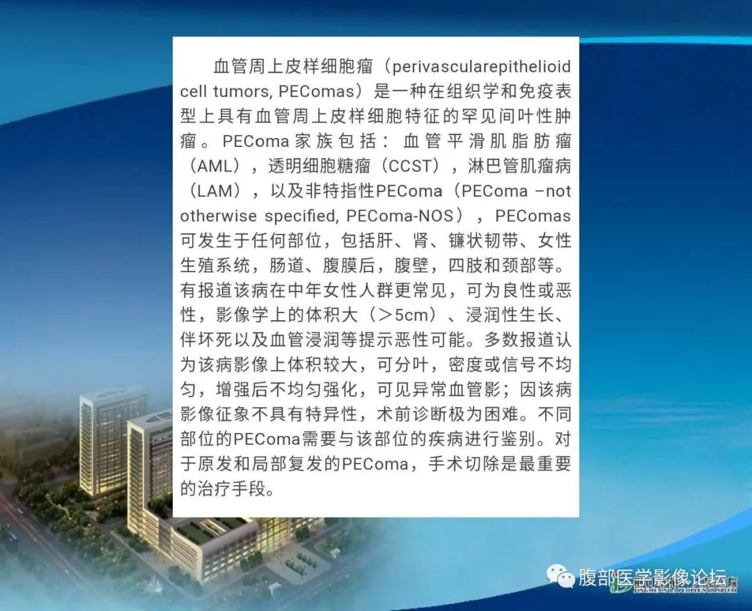 影像PPT - 【病例】肾细胞癌与肾血管平滑肌脂肪瘤AML CT鉴别诊断-13