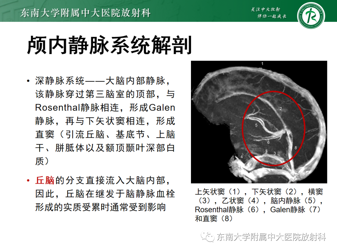 影像PPT - 【PPT】颅内静脉血栓影像诊断-14