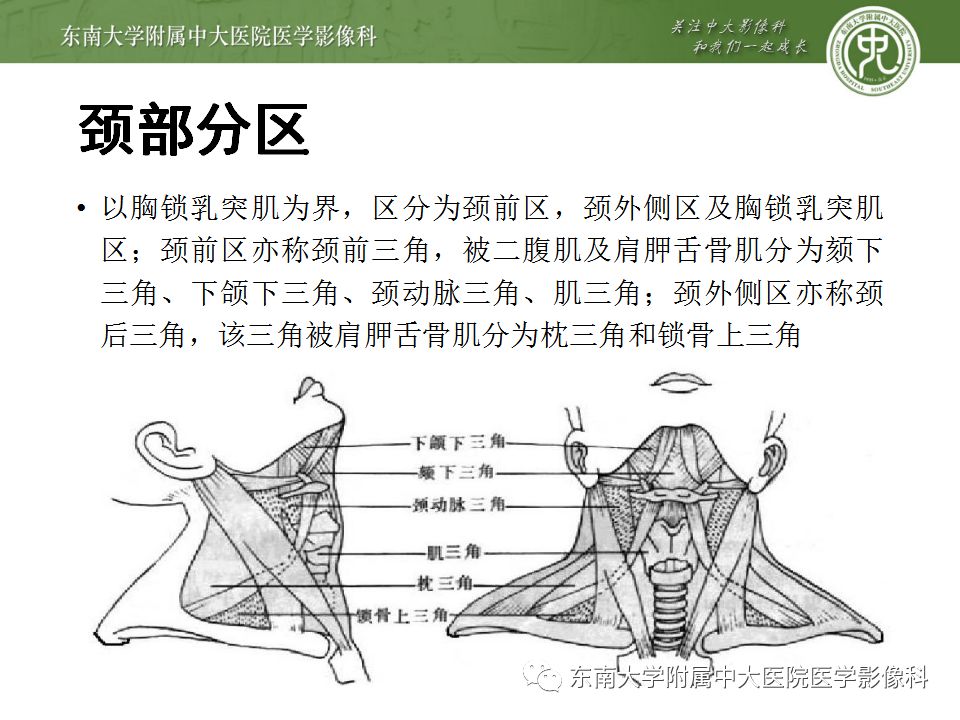 影像PPT - 【PPT】异位甲状腺、甲状舌管囊肿影像表现-5