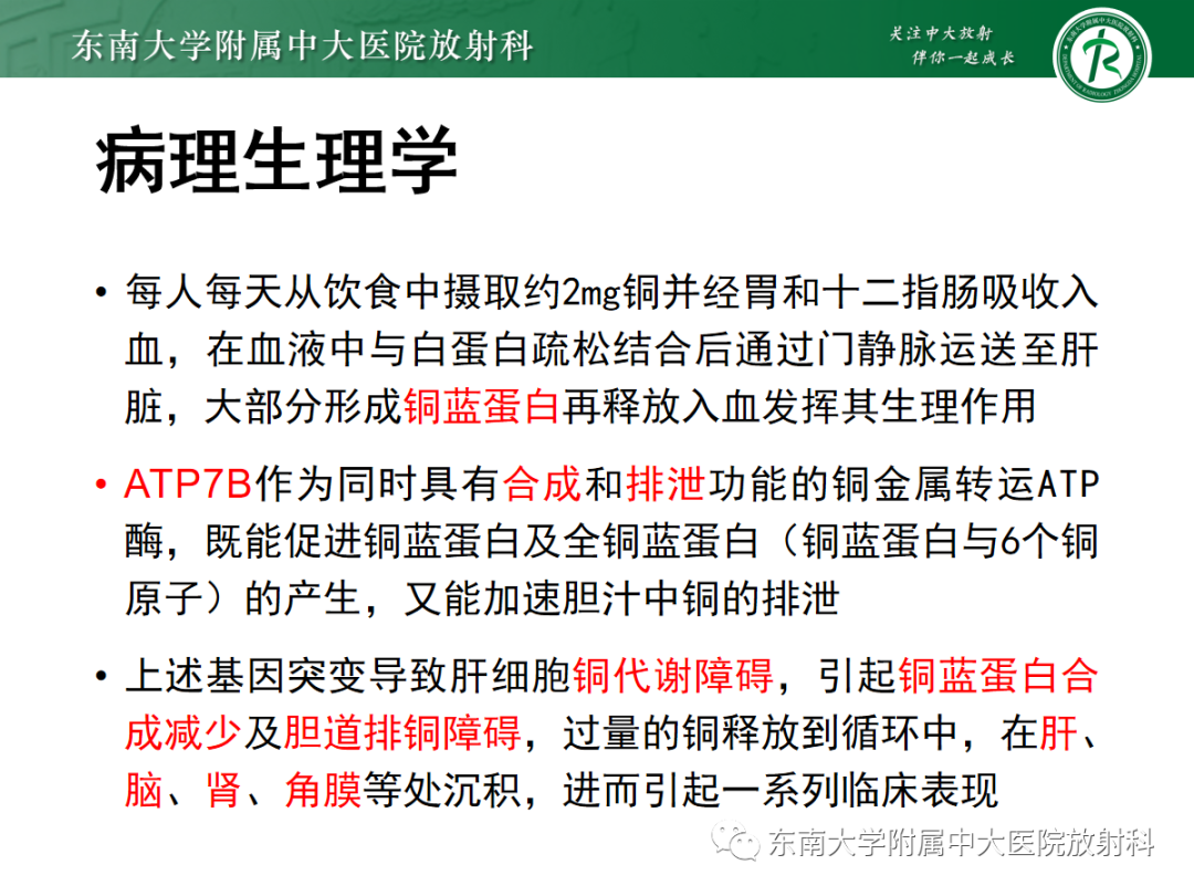 影像PPT - 【PPT】肝豆状核变性-5