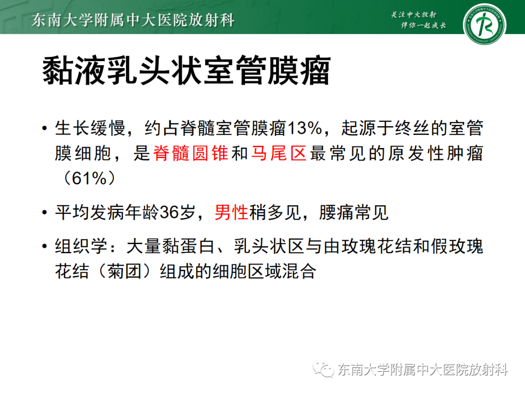 影像PPT - 【PPT】椎管内神经鞘瘤的影像-22