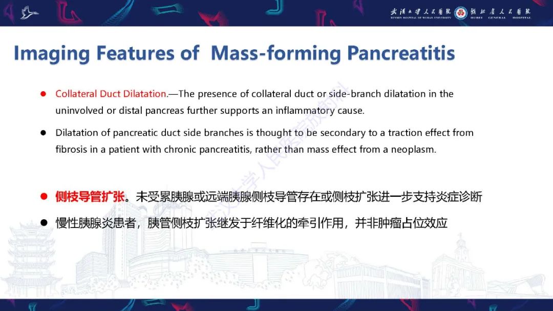 影像PPT - 【PPT】慢性胰腺炎与胰腺肿瘤影像鉴别诊断-13