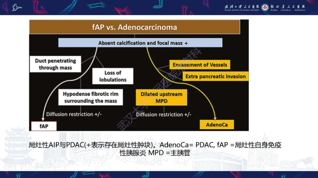影像PPT - 【PPT】慢性胰腺炎与胰腺肿瘤影像鉴别诊断-36