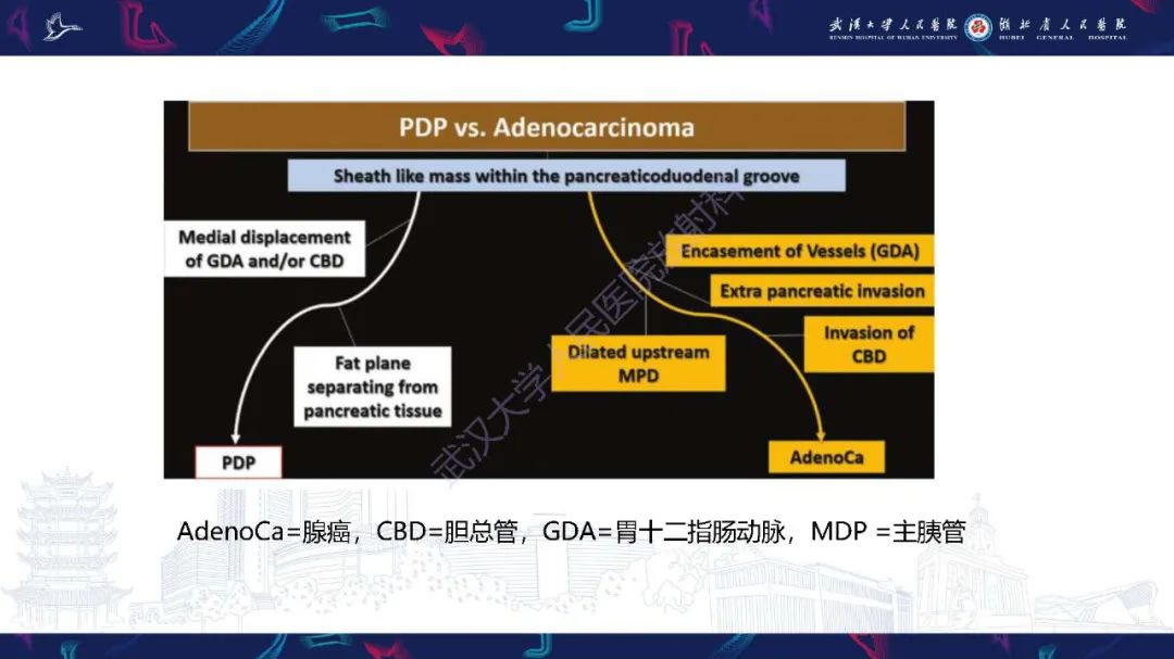 影像PPT - 【PPT】慢性胰腺炎与胰腺肿瘤影像鉴别诊断-41