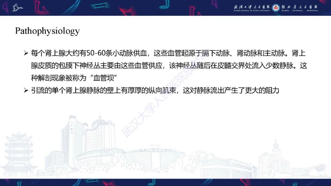 影像PPT - 【PPT】肾上腺出血影像诊断-5
