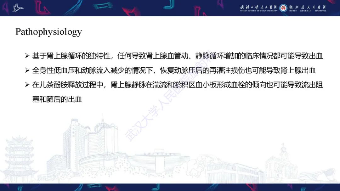 影像PPT - 【PPT】肾上腺出血影像诊断-6