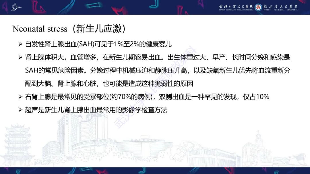 影像PPT - 【PPT】肾上腺出血影像诊断-9