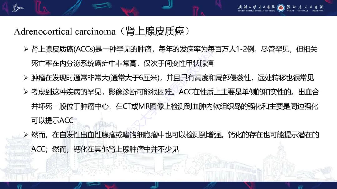 影像PPT - 【PPT】肾上腺出血影像诊断-22