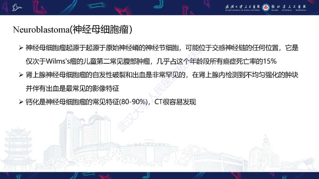 影像PPT - 【PPT】肾上腺出血影像诊断-28