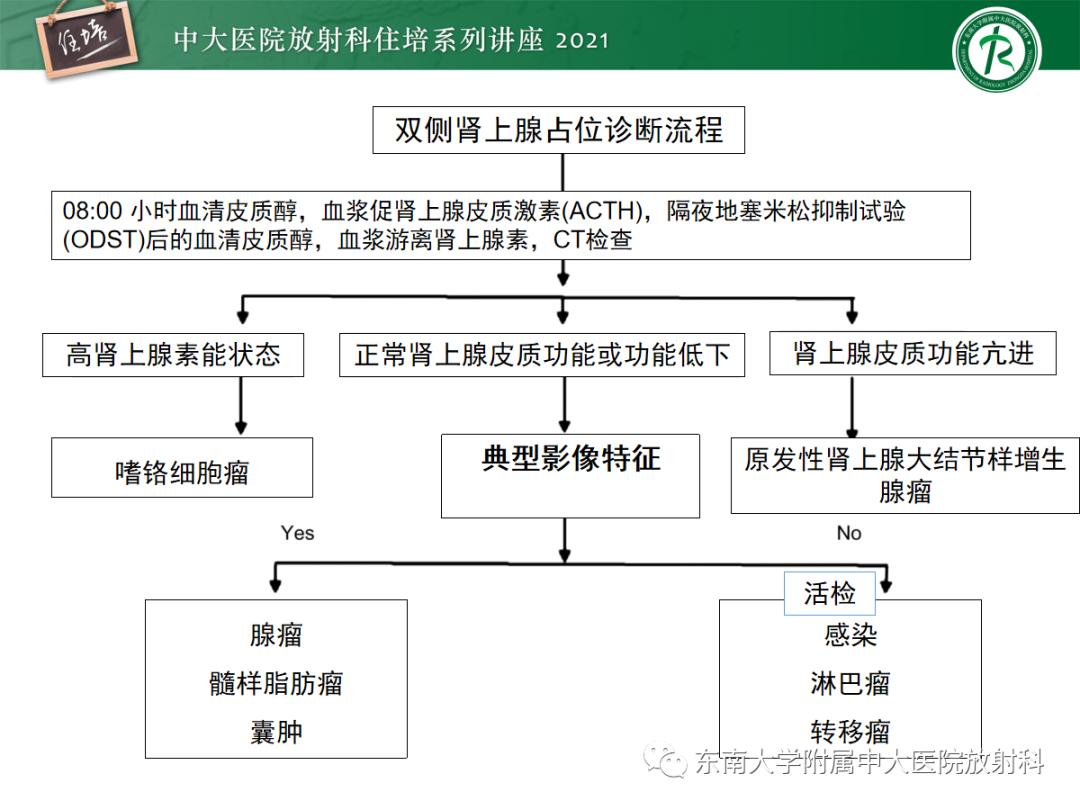 影像PPT - 【PPT】双侧肾上腺病变的影像诊断思路-33