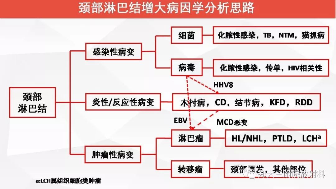 影像PPT - 【PPT】颈部淋巴结肿大的鉴别诊断-38