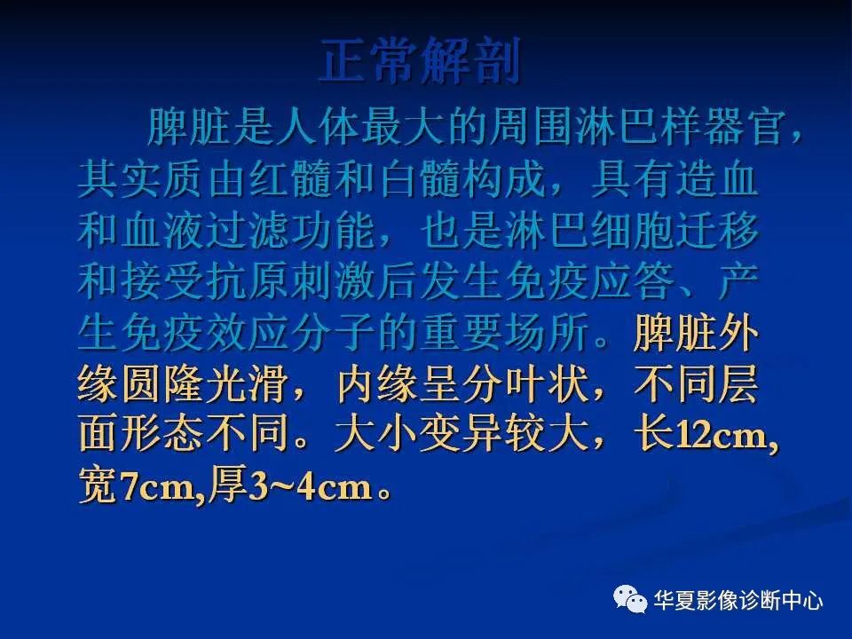 影像PPT - 【PPT】脾脏疾病CT诊断-2