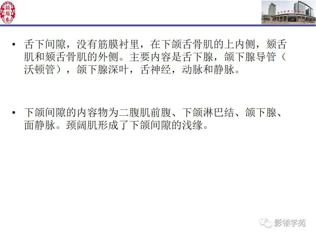 影像PPT - 【PPT】舌、口底影像解剖及常见疾病诊断-4