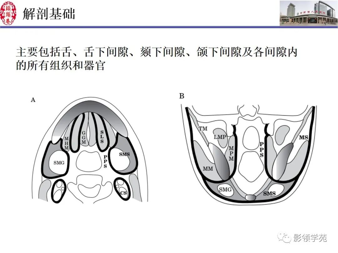 影像PPT - 【PPT】舌、口底影像解剖及常见疾病诊断-3