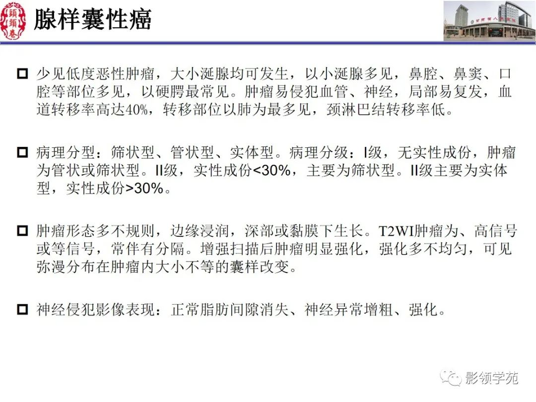 影像PPT - 【PPT】舌、口底影像解剖及常见疾病诊断-69