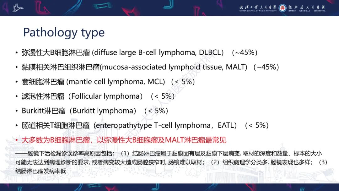 影像PPT - 【PPT】原发性大肠淋巴瘤影像诊断-10