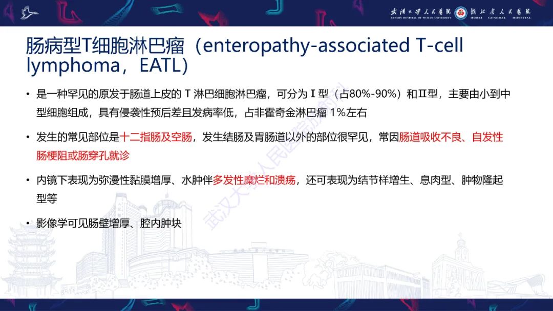影像PPT - 【PPT】原发性大肠淋巴瘤影像诊断-31