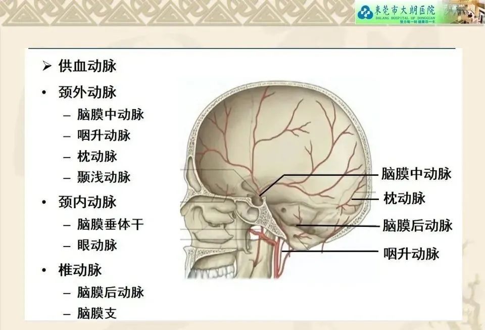 影像PPT - 【病例】硬脑膜动静脉瘘1例CT及DSA影像学表现-14