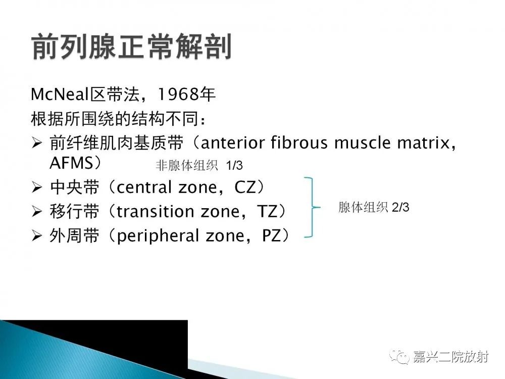 影像PPT - 【PPT】前列腺解剖分区-3
