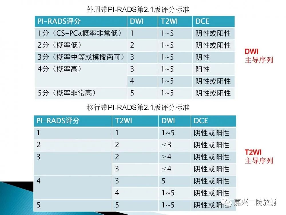 影像PPT - 【PPT】前列腺解剖分区-21