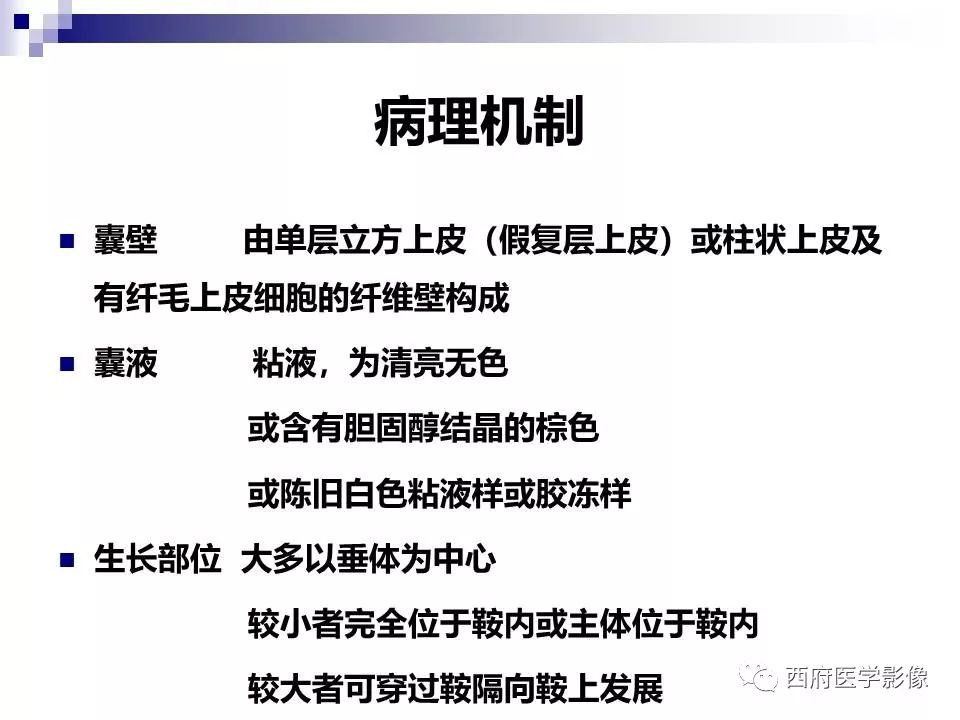 影像PPT - 【PPT】垂体囊性病变回顾性讨论-25