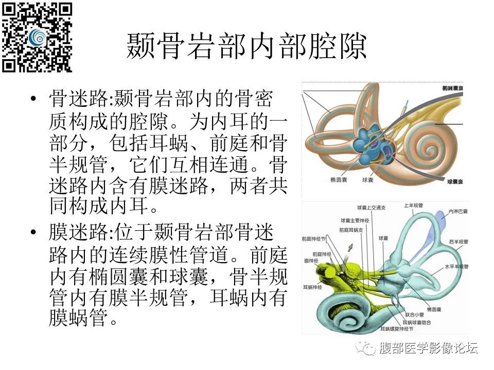 影像PPT - 【PPT】颅骨颅底系列之岩洞深处住神仙-16