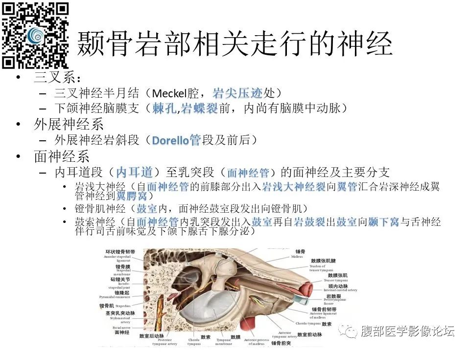 影像PPT - 【PPT】颅骨颅底系列之岩洞深处住神仙-17