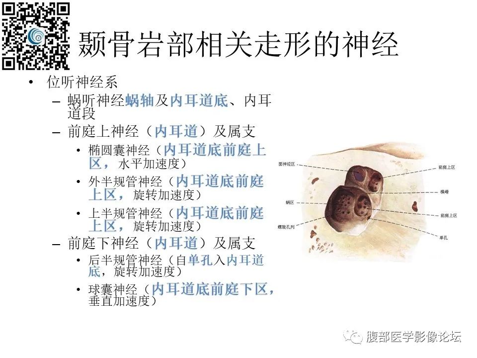 影像PPT - 【PPT】颅骨颅底系列之岩洞深处住神仙-18