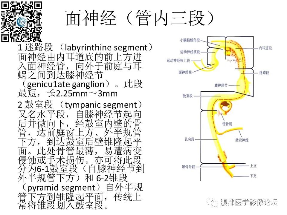 影像PPT - 【PPT】颅骨颅底系列之岩洞深处住神仙-42
