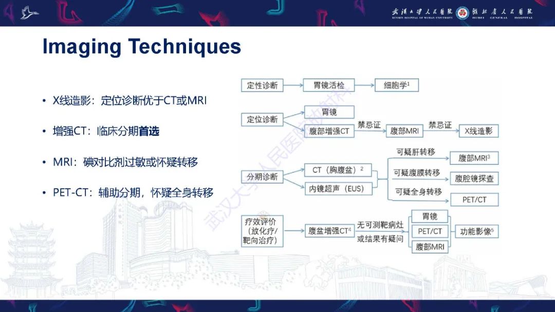 影像PPT - 【PPT】胃癌淋巴引流及TNM分期-4