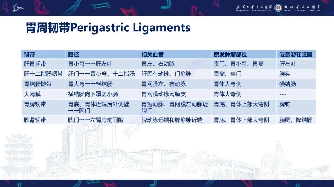 影像PPT - 【PPT】胃癌淋巴引流及TNM分期-13