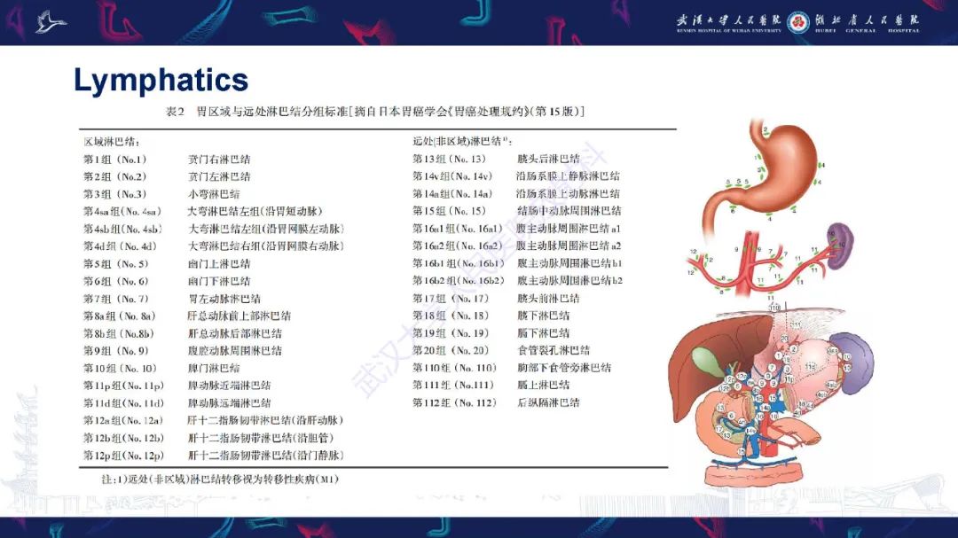 影像PPT - 【PPT】胃癌淋巴引流及TNM分期-14