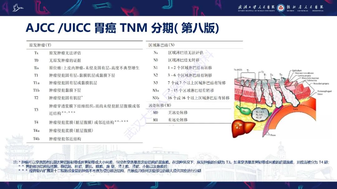 影像PPT - 【PPT】胃癌淋巴引流及TNM分期-23