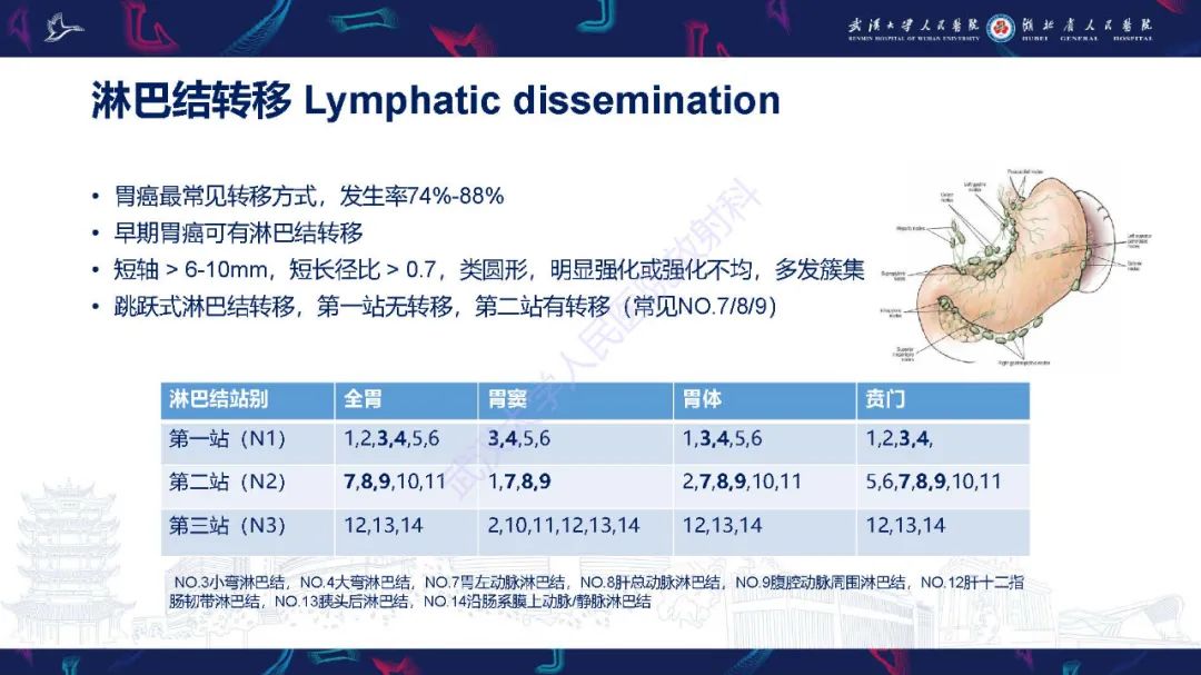 影像PPT - 【PPT】胃癌淋巴引流及TNM分期-33