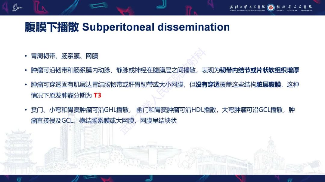 影像PPT - 【PPT】胃癌淋巴引流及TNM分期-36