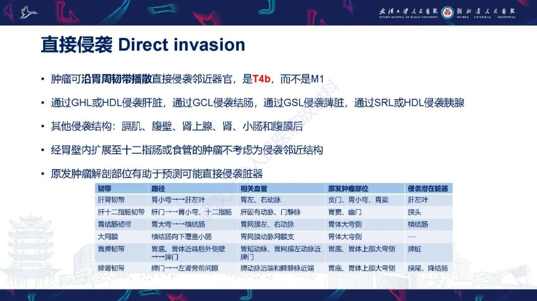 影像PPT - 【PPT】胃癌淋巴引流及TNM分期-38