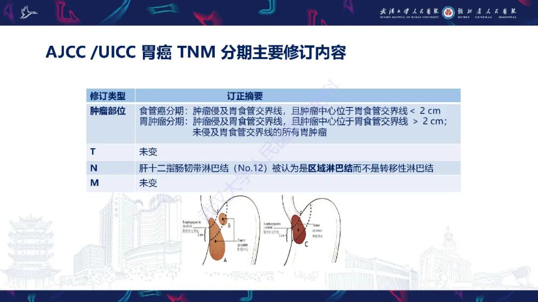 影像PPT - 【PPT】胃癌淋巴引流及TNM分期-44