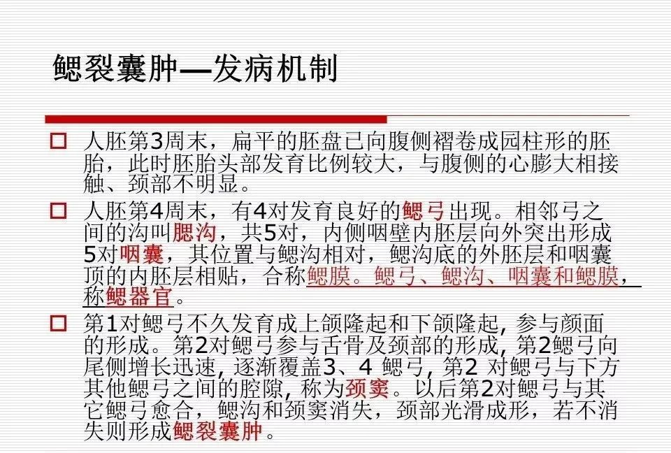 影像PPT - 颈部肿块影像诊断与鉴别诊断—鳃裂囊肿-16