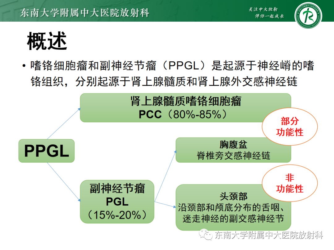 影像PPT - 【PPT】腹膜后副神经节瘤的影像-6