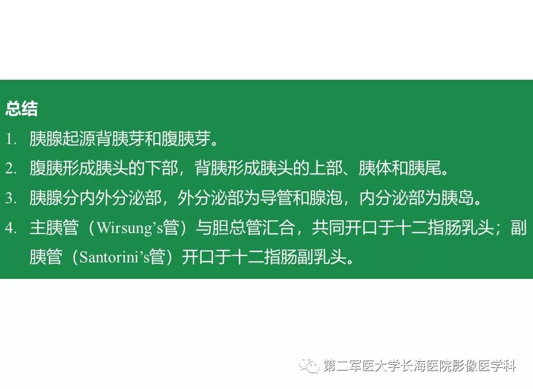 影像PPT - 【PPT】胰腺基本病变：影像与病理-14