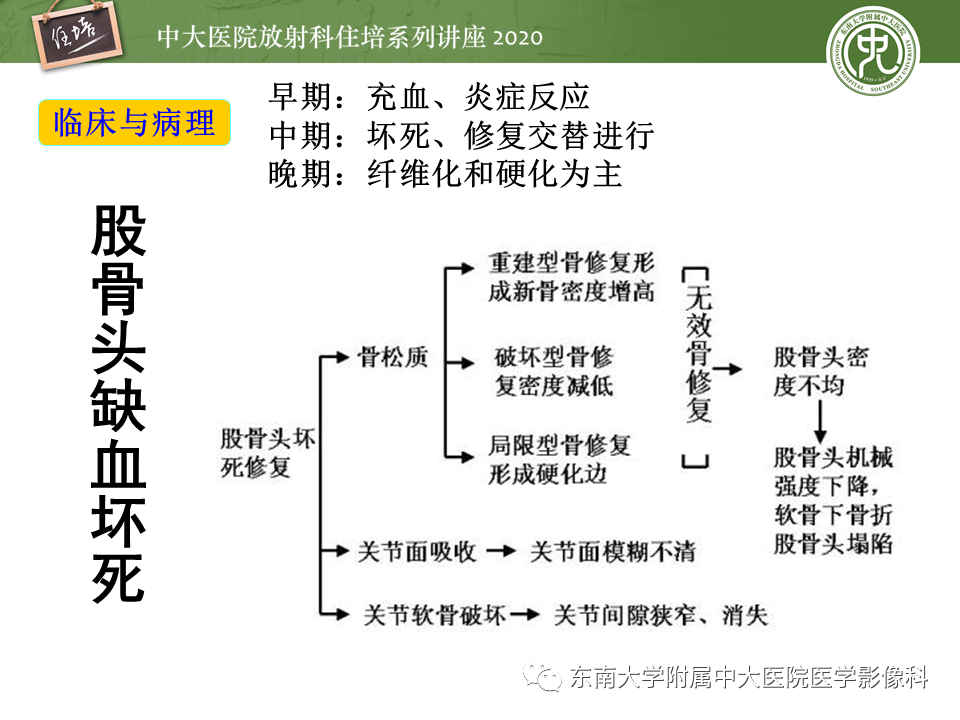 影像PPT - 【PPT】骨缺血坏死性病变的影像学特征-8
