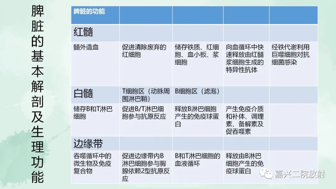 影像PPT - 【PPT】脾脏常见非肿瘤性病变-3