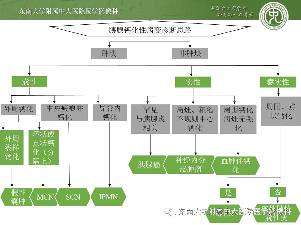 影像PPT - 【PPT】胰腺含钙化肿物的CT鉴别诊断-2
