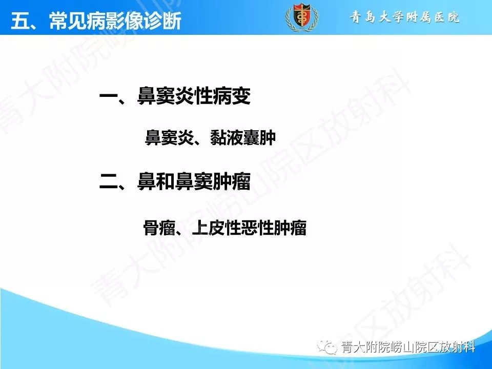 影像PPT - 【PPT】鼻和鼻窦解剖及常见病影像诊断-22