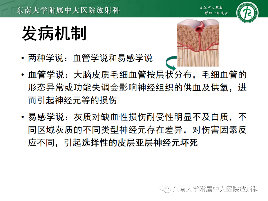 影像PPT - 【PPT】脑皮质层状坏死的影像-9