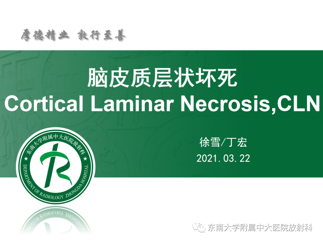 影像PPT - 【PPT】脑皮质层状坏死的影像-5