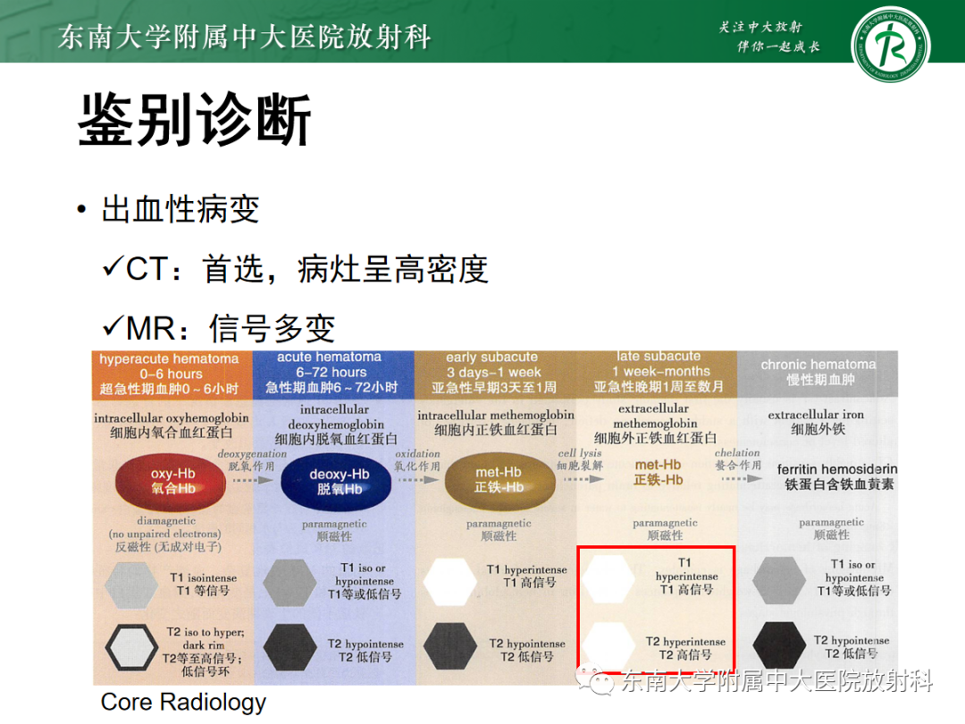 影像PPT - 【PPT】脑皮质层状坏死的影像-16