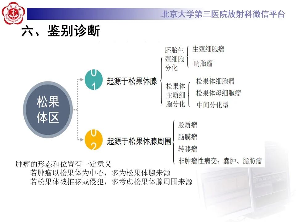 影像PPT - 【PPT】松果体区生殖细胞瘤-18