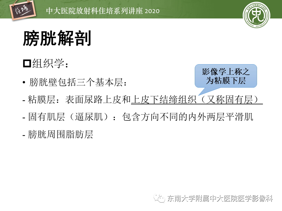 影像PPT - 【PPT】膀胱Ⅵ-RADS解读-10